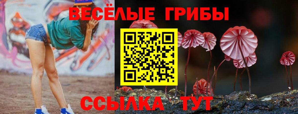 Галлюциногенные грибы Cubensis  Галлюциногенные грибы Psilocybe  Мирный  Вход с VPN 