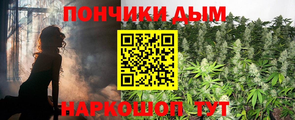 Бошки Шишки ГИДРОПОН Мирный